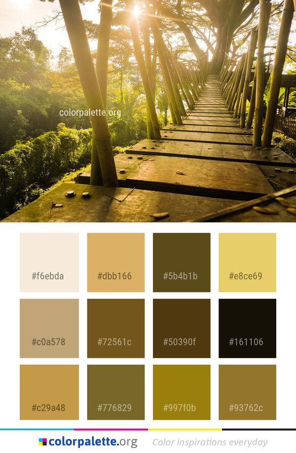 Nature Tree Path Color Palette