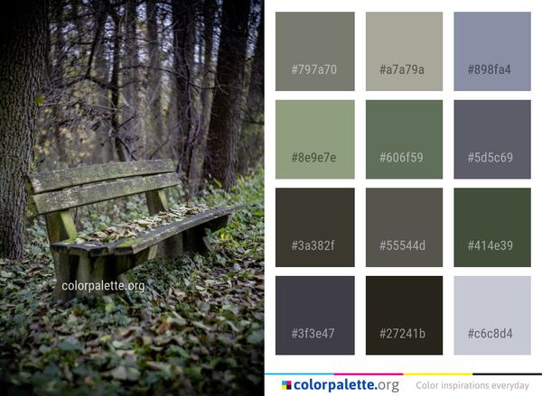 Nature Woodland Green Color Palette