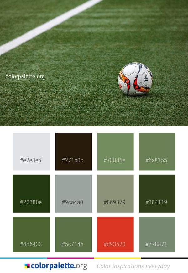 Plant Grass Player Color Palette