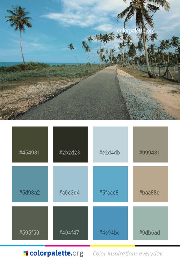 Road Sky Tree Color Palette