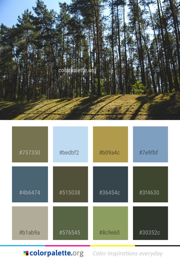 Tree Ecosystem Nature Color Palette