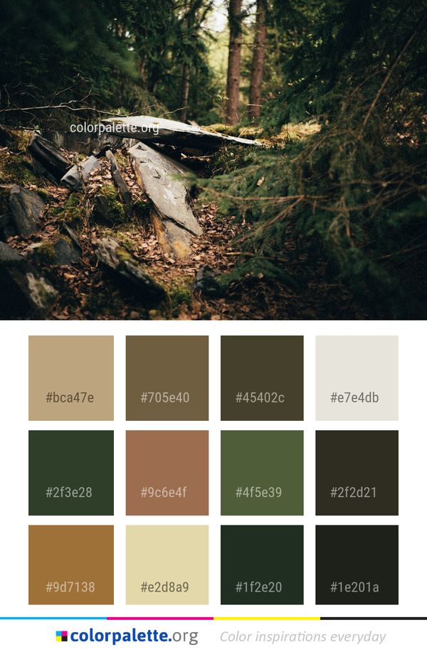Tree Leaf Water Color Palette