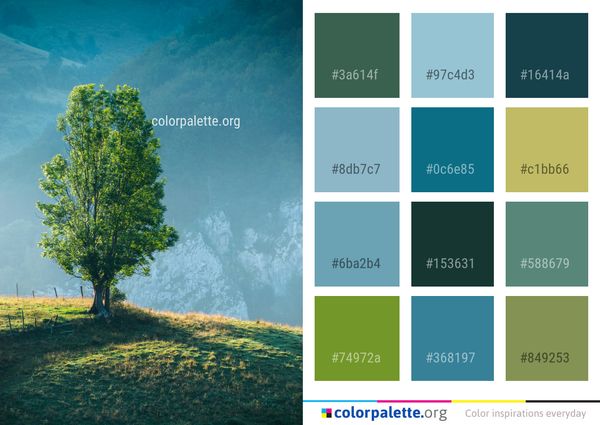 Tree Nature Sky Color Palette