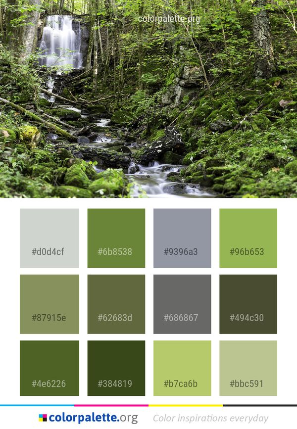 Water Nature Vegetation Color Palette