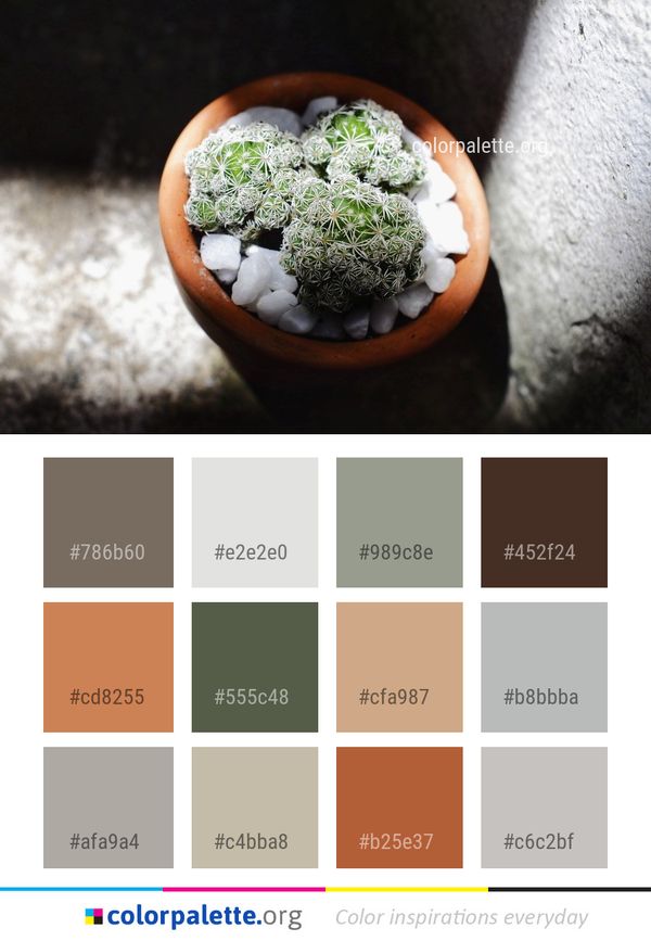 Flowerpot Color Palette