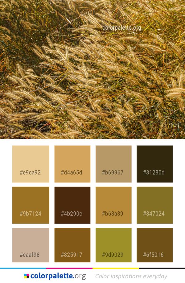 Grass Family Crop Color Palette
