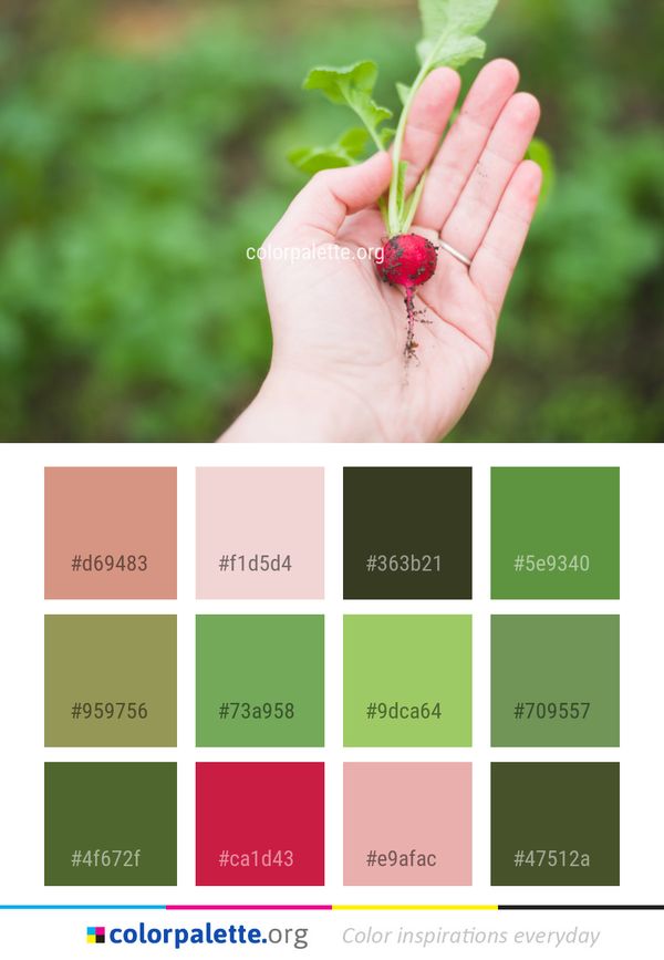 Hand Finger Close Up Color Palette