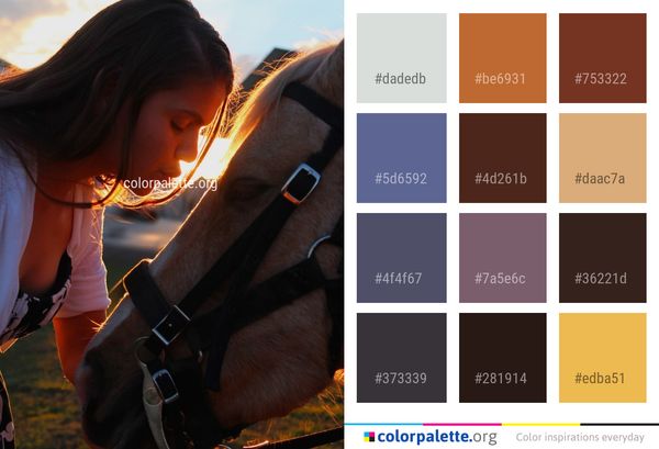Horse Like Mammal Girl Color Palette