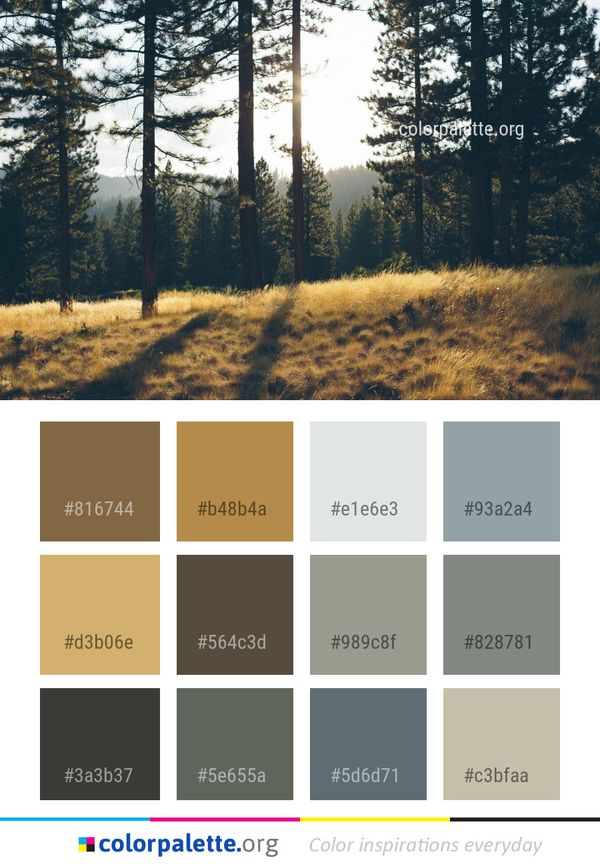 Nature Ecosystem Tree Color Palette