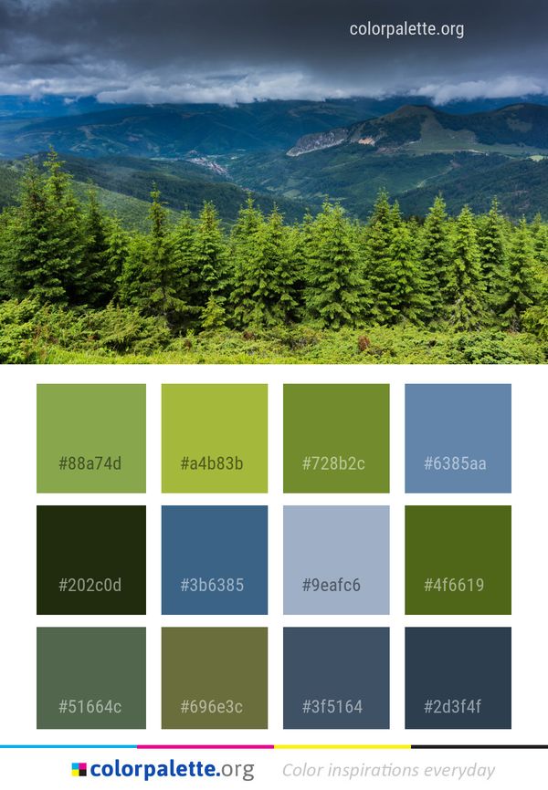 Nature Highland Vegetation Color Palette