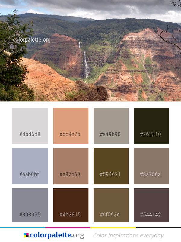 Nature Reserve Wilderness Hill Station Color Palette