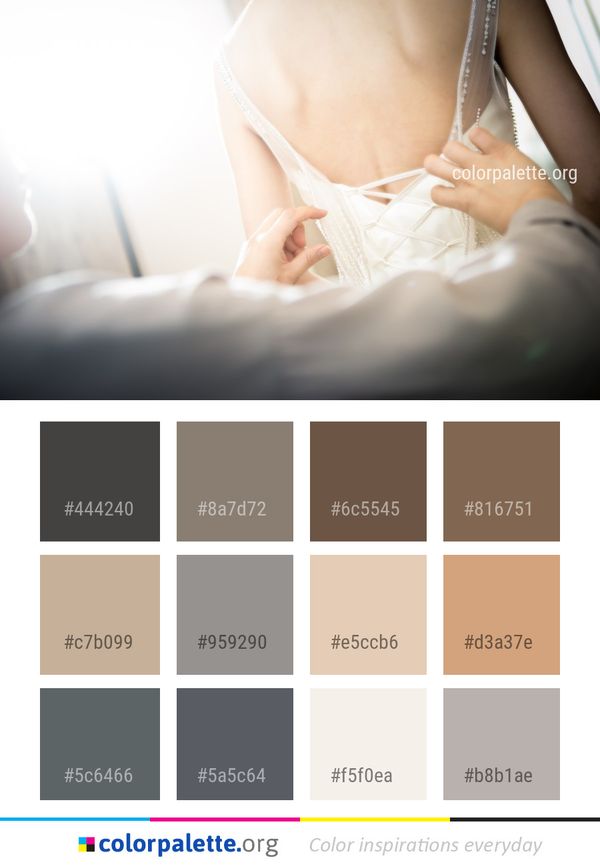 Photograph Skin Beauty Color Palette