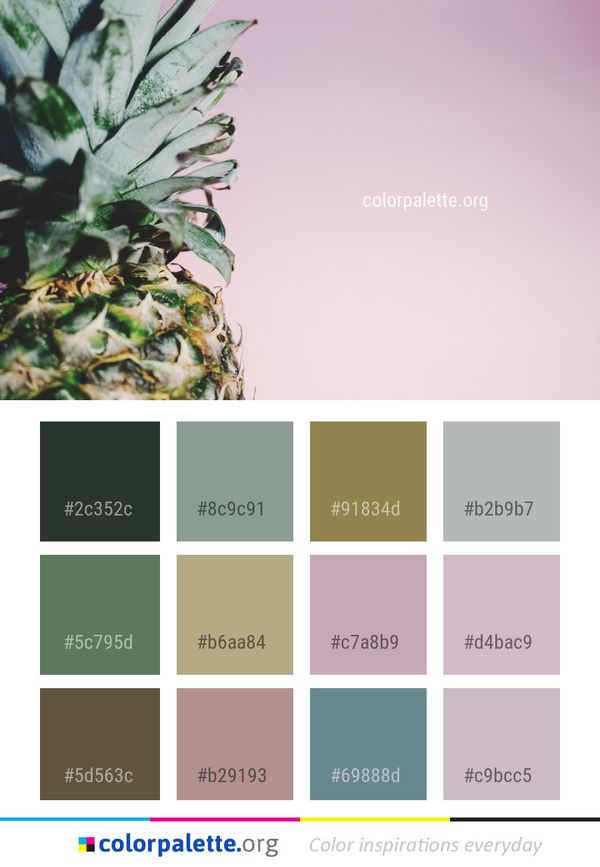 Plant Pineapple Leaf Color Palette