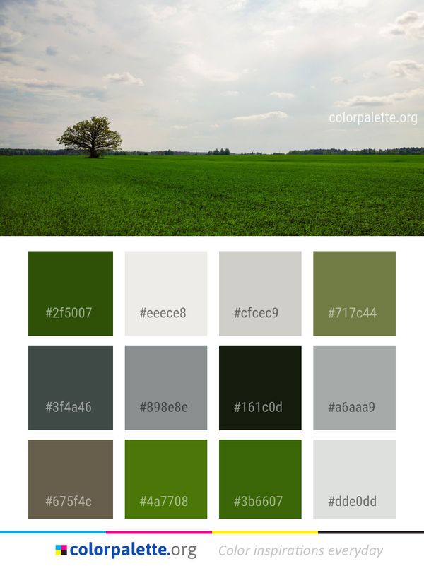 Sky Grassland Green Color Palette