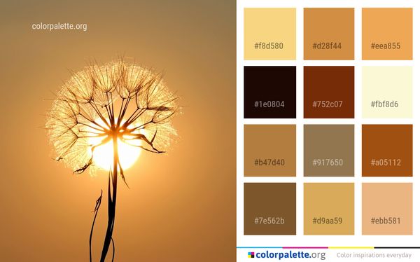 Sky Morning Sunlight Color Palette
