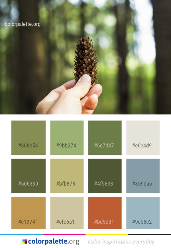Tree Color Palette