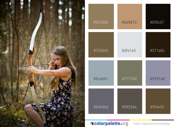 Bow And Arrow Nature Tree Color Palette