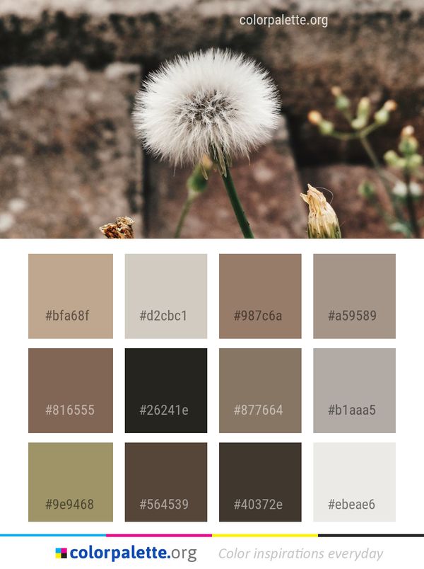 Flower Flora Plant Color Palette