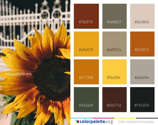 Flower Sunflower Yellow Color Palette