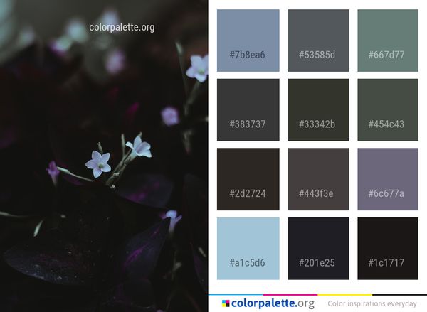 Flower Violet Purple Color Palette