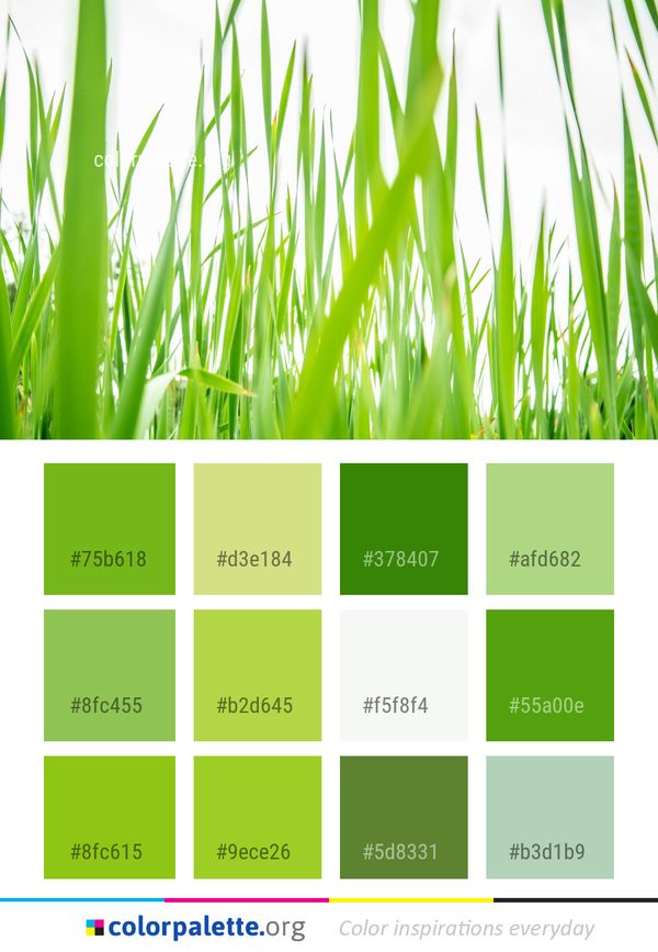 Green Grass Vegetation Color Palette
