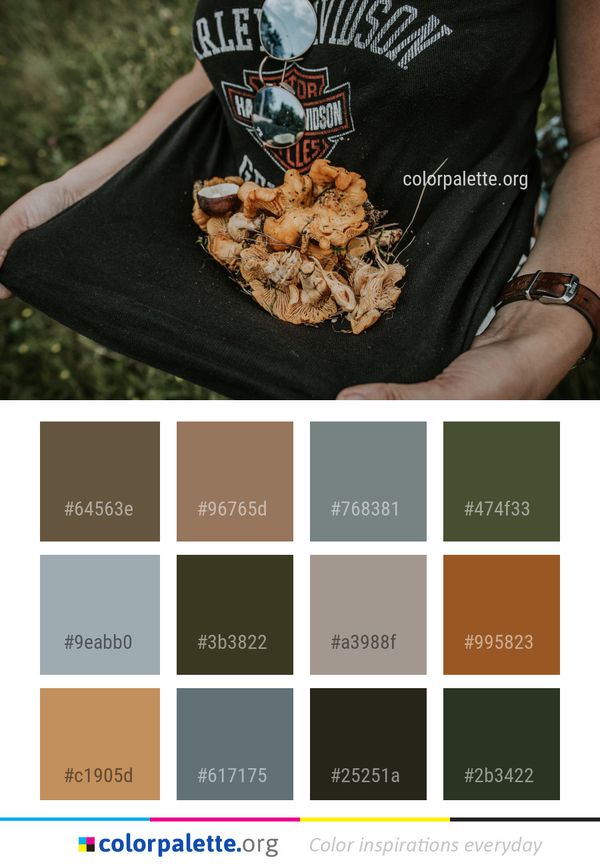 Hand Finger Food Color Palette