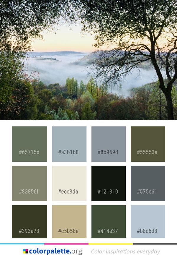 Nature Sky Tree Color Palette