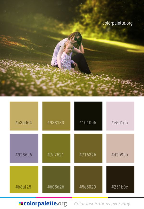 Photograph Nature Yellow Color Palette