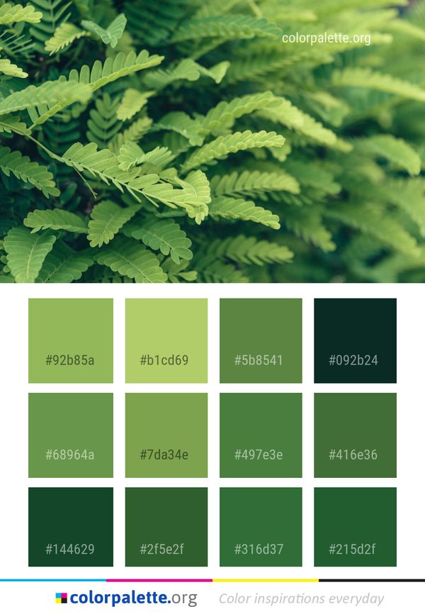 Plant Vegetation Leaf Color Palette