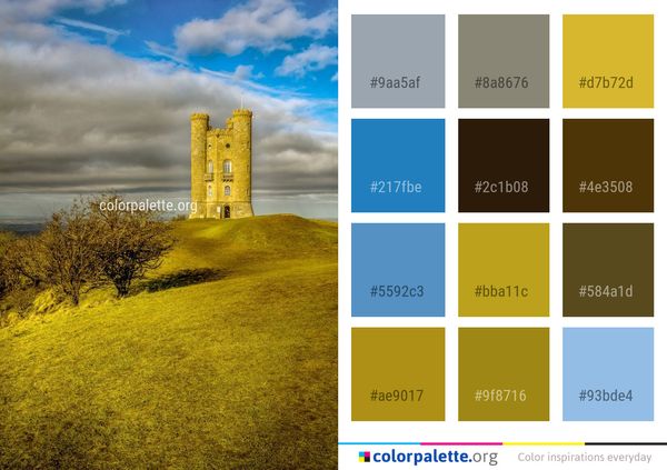 Sky Yellow Field Color Palette