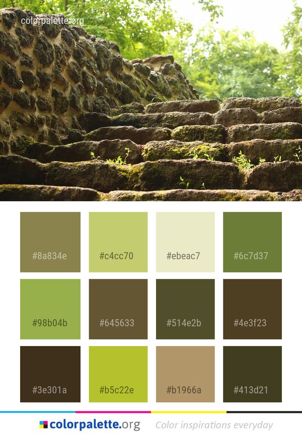 Vegetation Rock Grass Color Palette