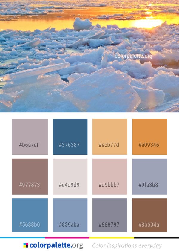 Arctic Ocean Ice Color Palette