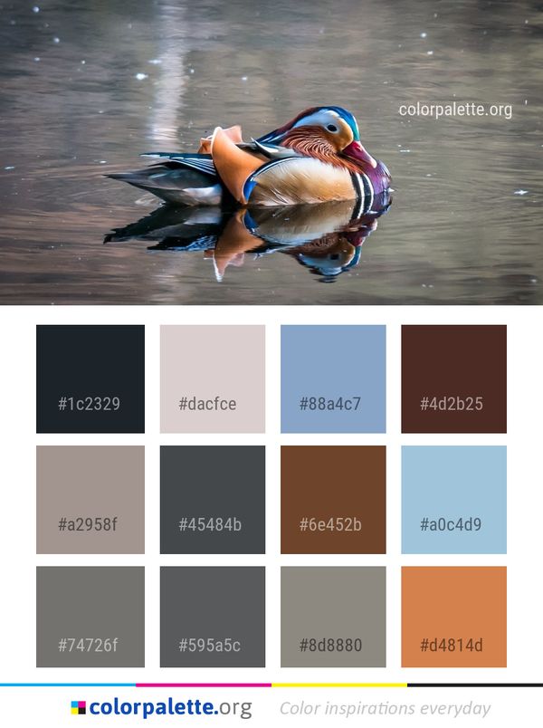 Duck Bird Water Color Palette