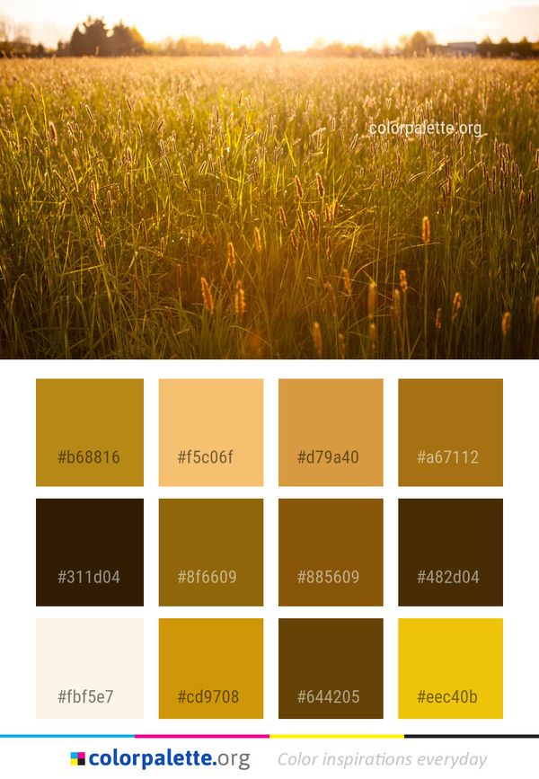 Ecosystem Field Grassland Color Palette