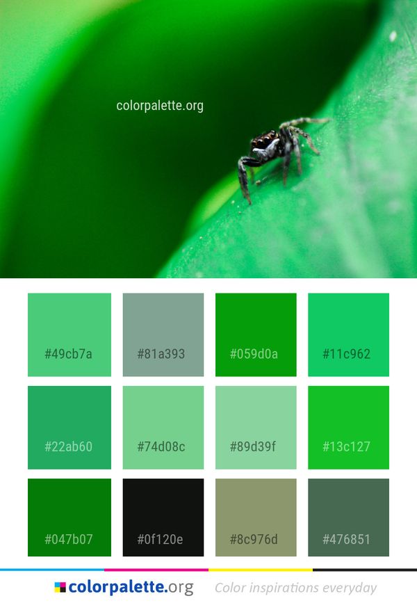 Green Insect Macro Photography Color Palette