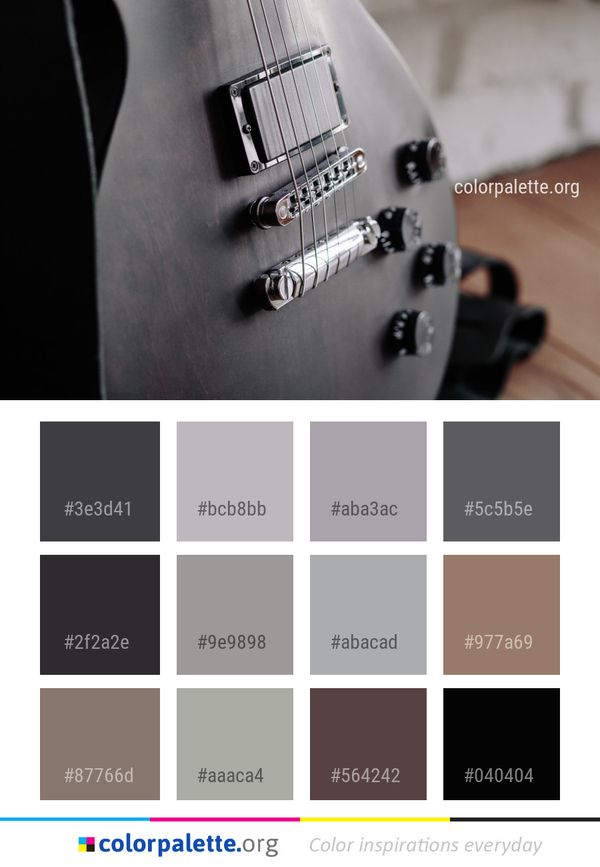 Musical Instrument Guitar String Color Palette