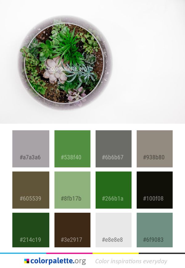 Plant Flowerpot Herb Color Palette
