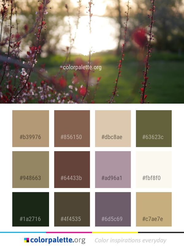 Red Nature Branch Color Palette