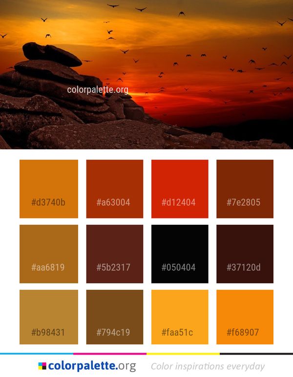 Sky Sunrise Sunset Color Palette