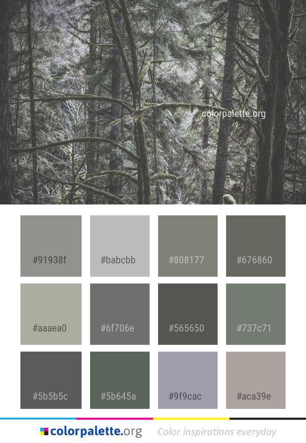 Tree Woodland Forest Color Palette