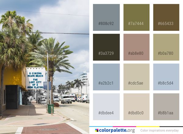 Tree Woody Plant Palm Color Palette