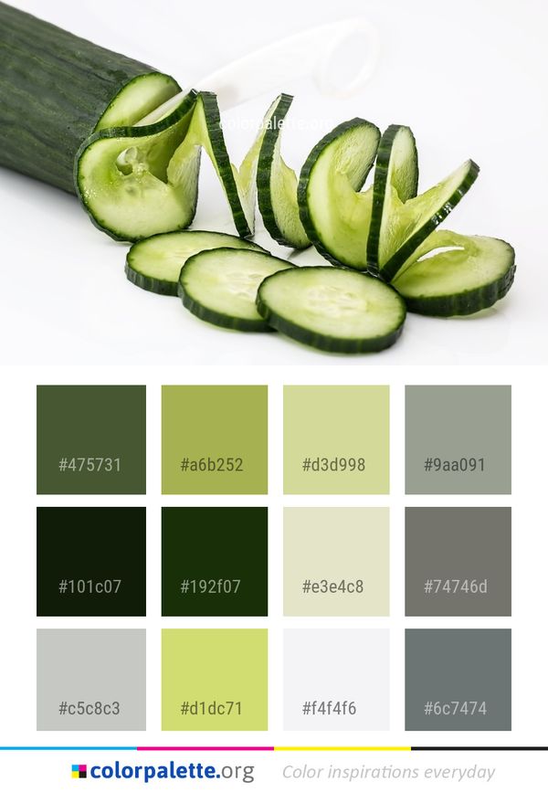 Vegetable Produce Food Color Palette