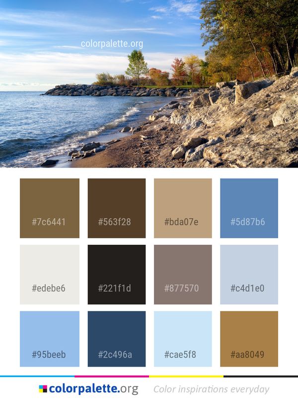 Coast Shore Body Of Water Color Palette