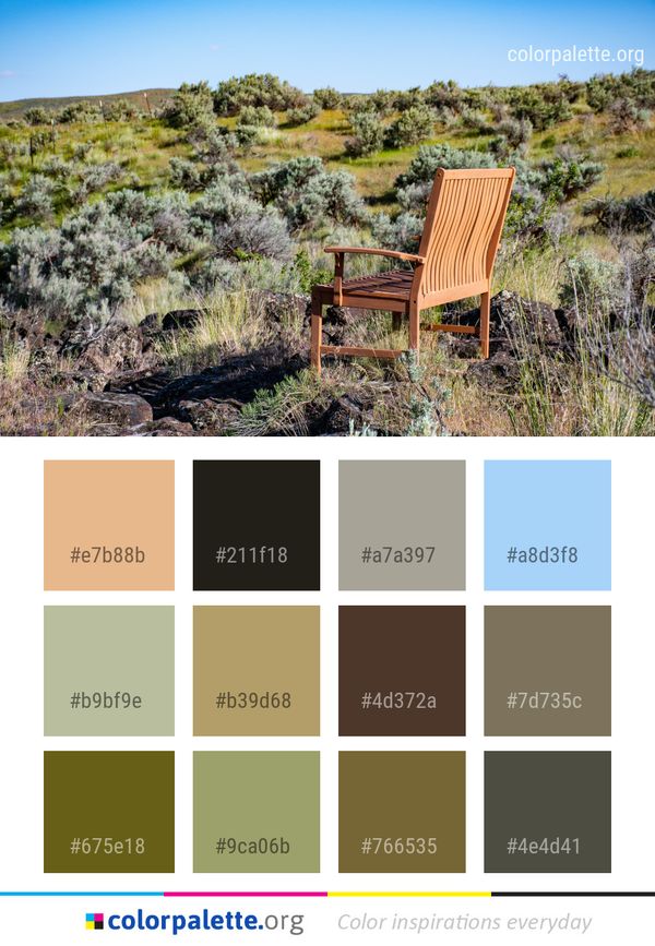 Ecosystem Wilderness Chaparral Color Palette