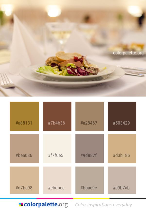 Food Meal Dish Color Palette