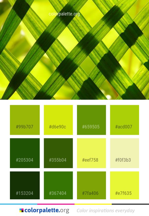 Green Yellow Macro Photography Color Palette