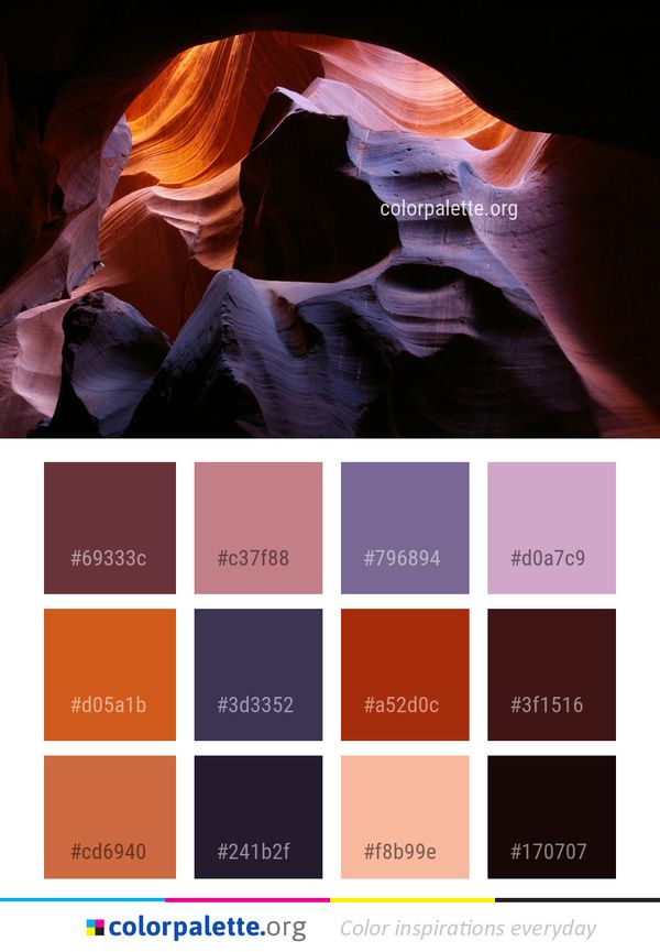 Light Flower Darkness Color Palette
