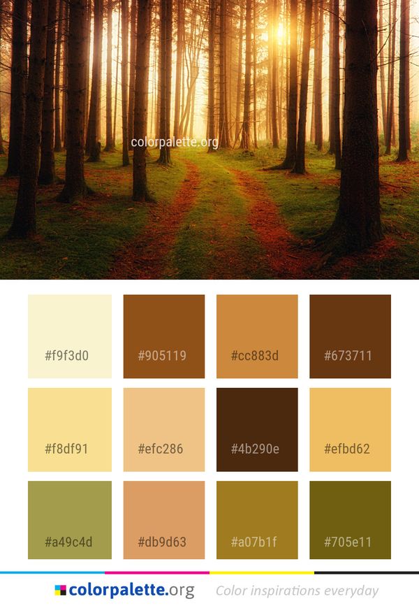 Nature Forest Ecosystem Color Palette