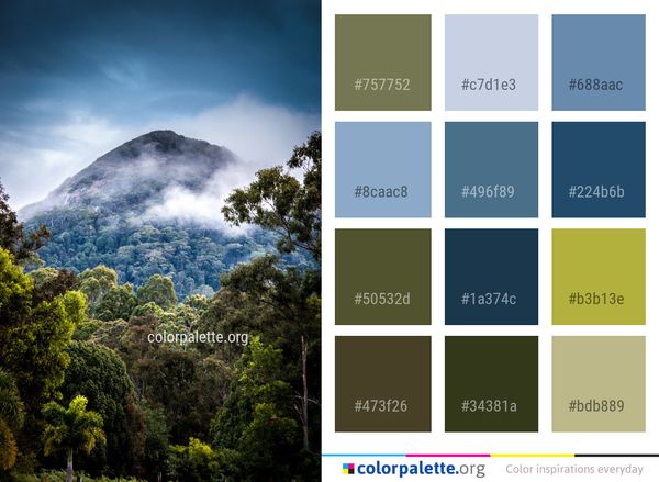 Nature Vegetation Sky Color Palette