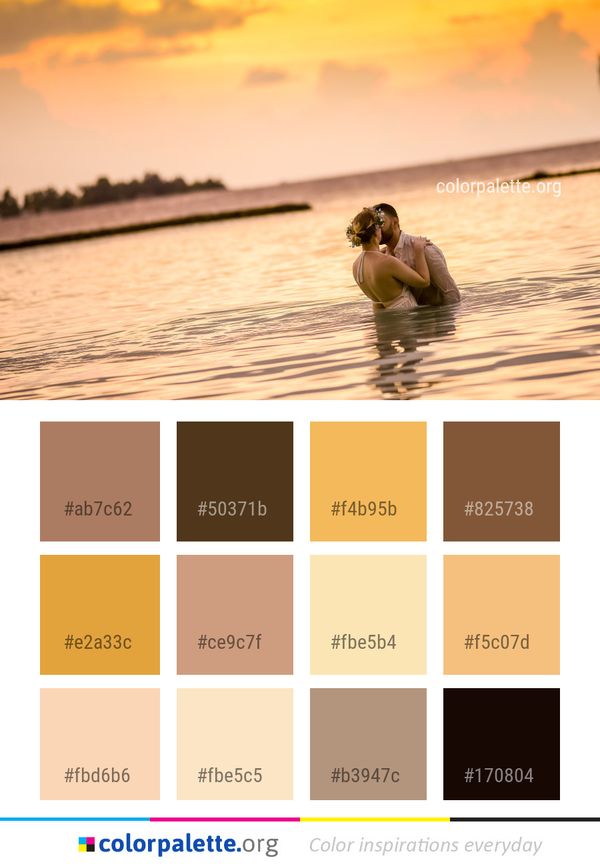 Photograph Sea Water Color Palette